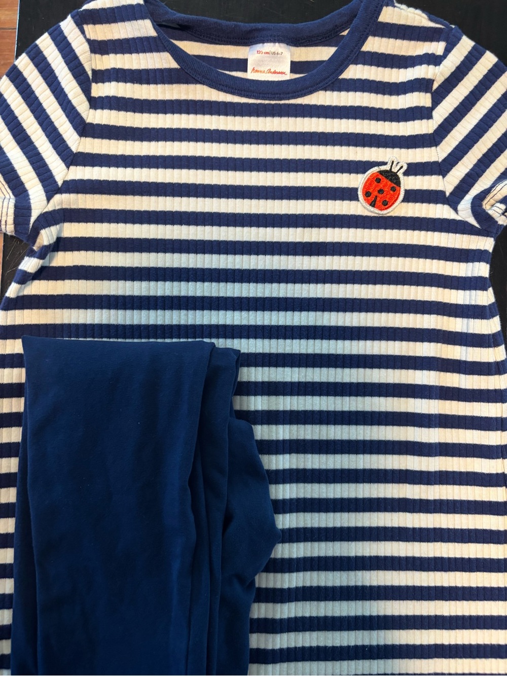 Hanna Andersson Navy and White Striped Dress with Ladybug Patch and Leggings